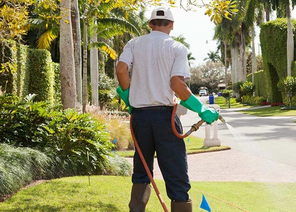 About Lathrop CA Pest Control